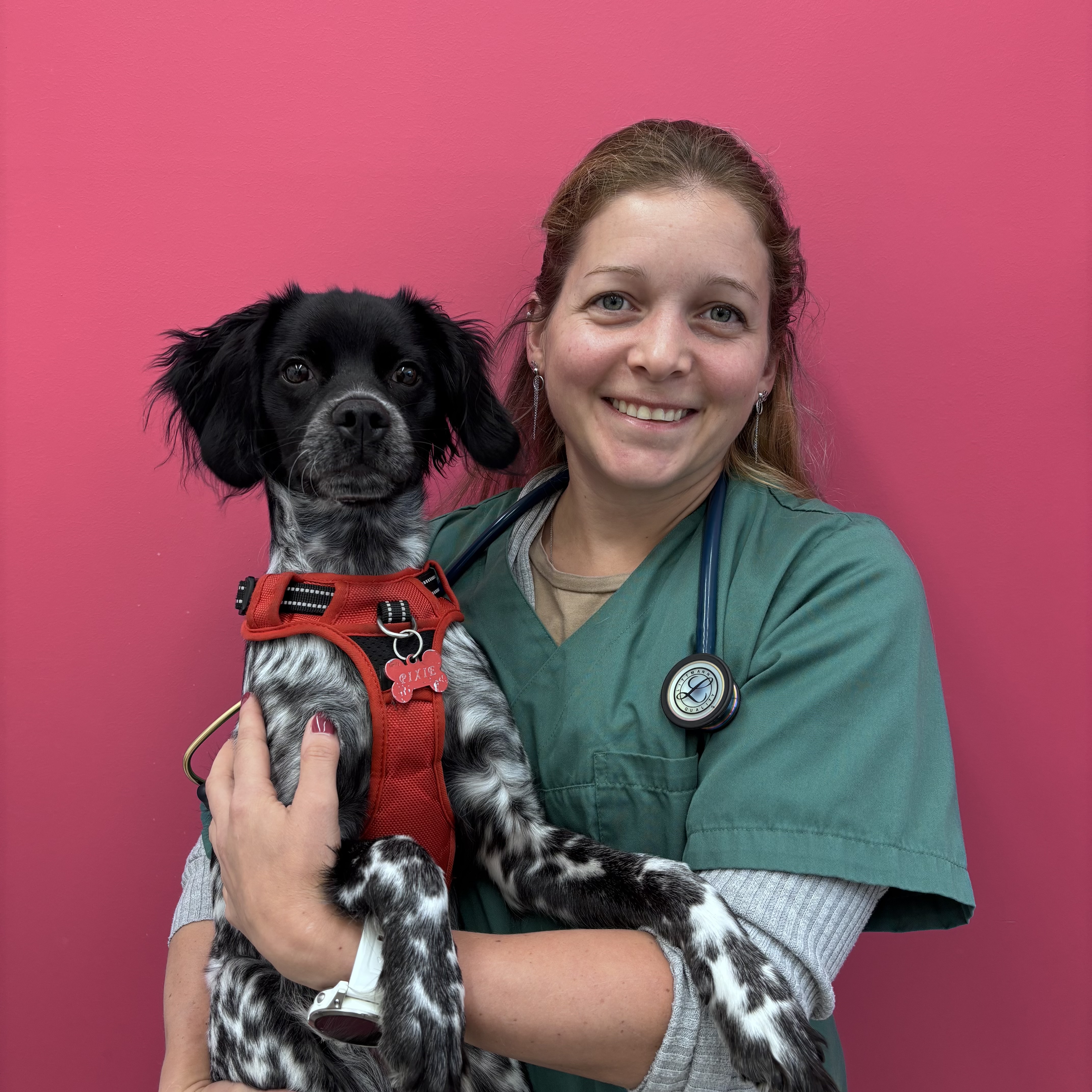 Soins vétérinaires au cabinet Mahieu-Brabant à Mouscron